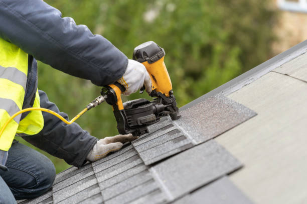 Best Asphalt Shingle Roofing  in Windom, MN