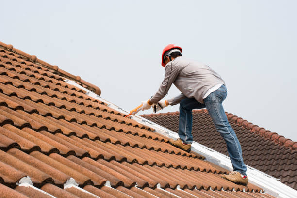 Best Siding  in Windom, MN